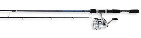 Daiwa Combo D-Shock Spinning Combo 1BB 6'