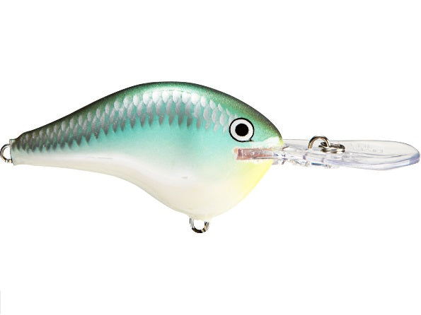 Rapala DT Series 6' 3/8 2