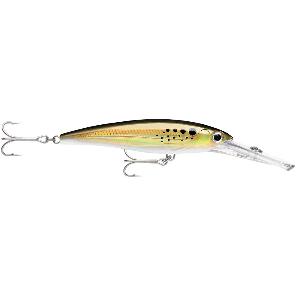 Rapala X-Rap® Magnum® 20 Bunker